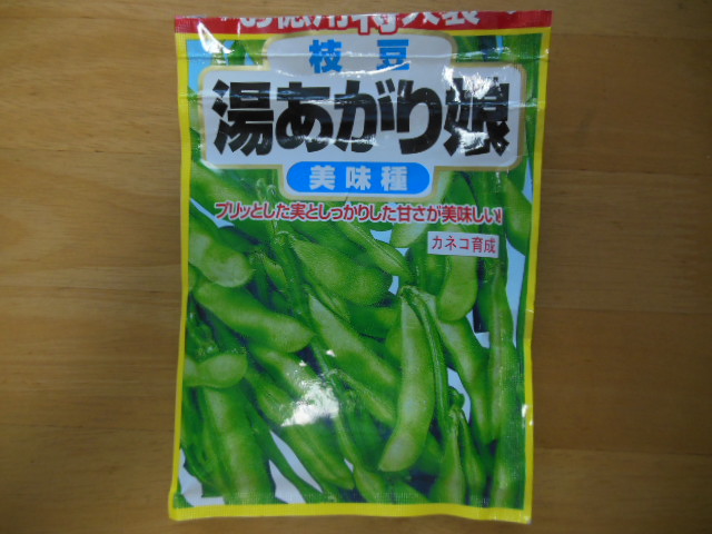 枝豆 苗 肴豆（晩生種）10本セット